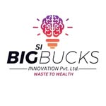 BigSIBucks Innovation logo
